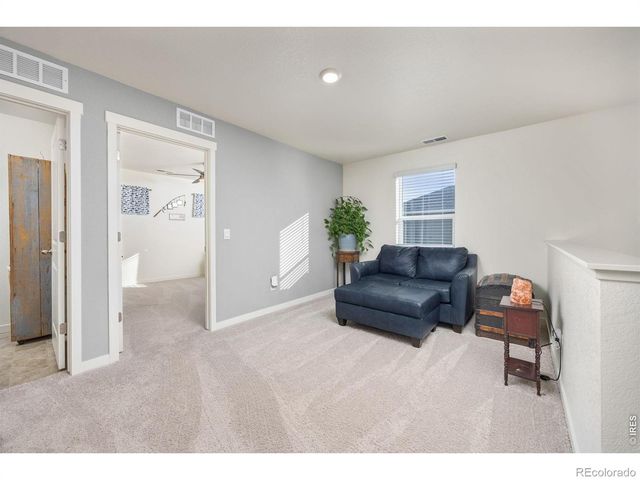 3725 Catmint Street, Wellington, CO 80549