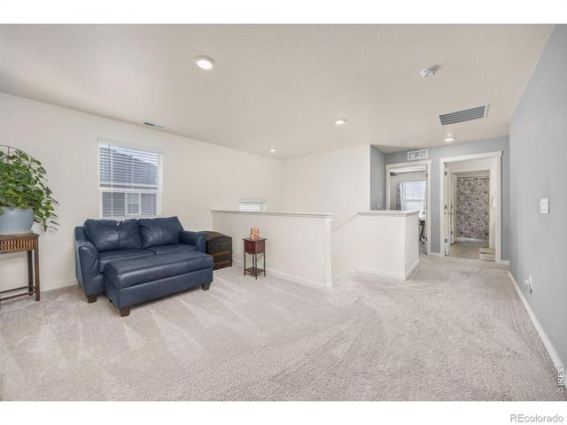 3725 Catmint Street, Wellington, CO 80549