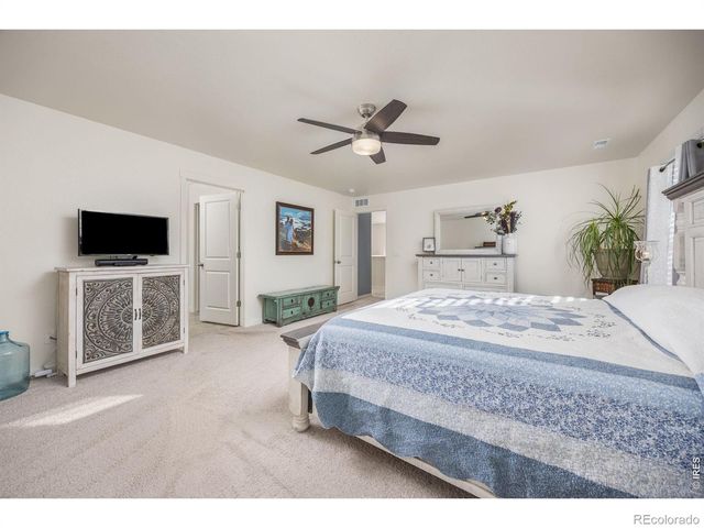 3725 Catmint Street, Wellington, CO 80549