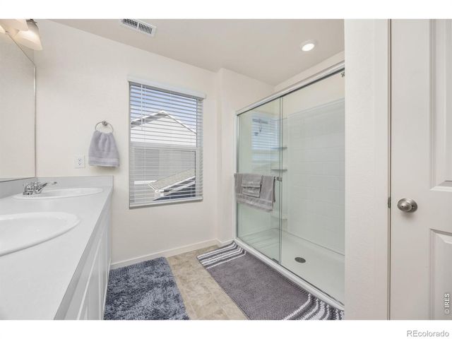 3725 Catmint Street, Wellington, CO 80549