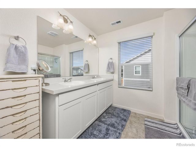 3725 Catmint Street, Wellington, CO 80549