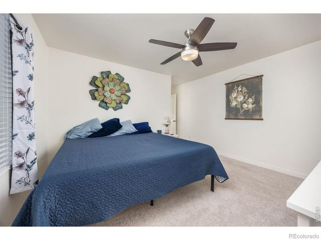 3725 Catmint Street, Wellington, CO 80549