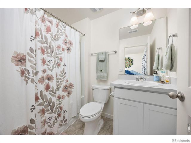 3725 Catmint Street, Wellington, CO 80549