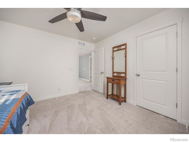 3725 Catmint Street, Wellington, CO 80549
