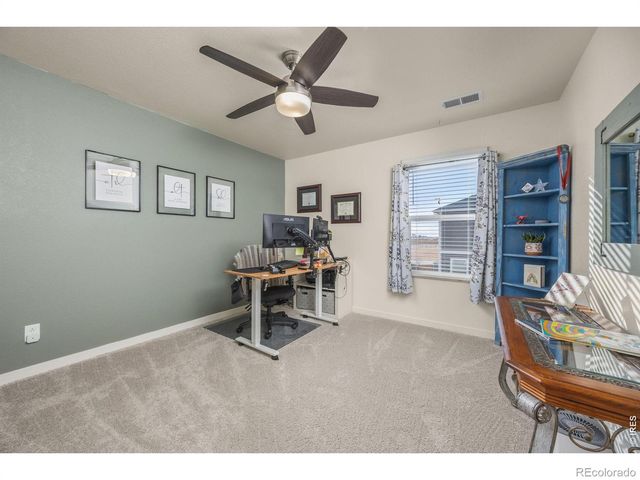 3725 Catmint Street, Wellington, CO 80549