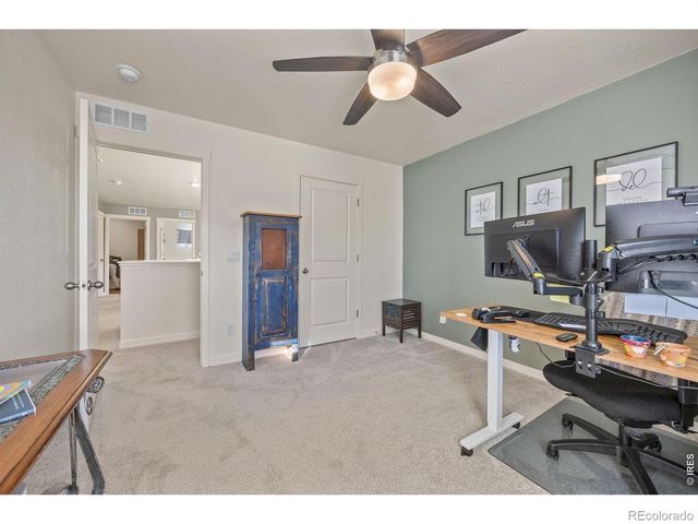 3725 Catmint Street, Wellington, CO 80549