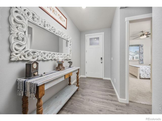 3725 Catmint Street, Wellington, CO 80549