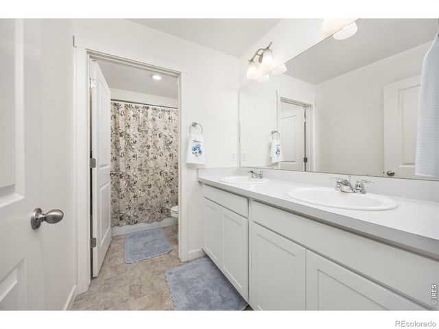 3725 Catmint Street, Wellington, CO 80549