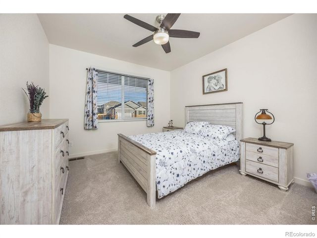 3725 Catmint Street, Wellington, CO 80549