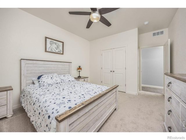 3725 Catmint Street, Wellington, CO 80549