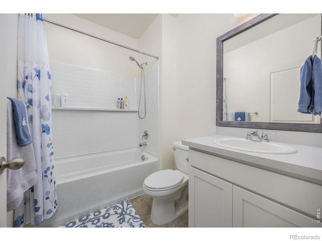 3725 Catmint Street, Wellington, CO 80549