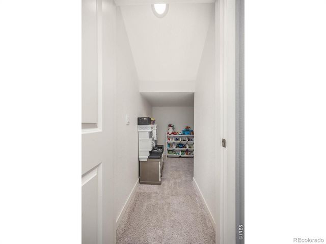3725 Catmint Street, Wellington, CO 80549