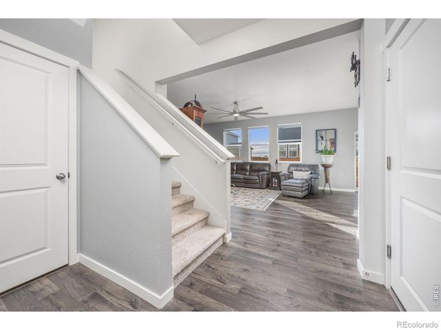 3725 Catmint Street, Wellington, CO 80549