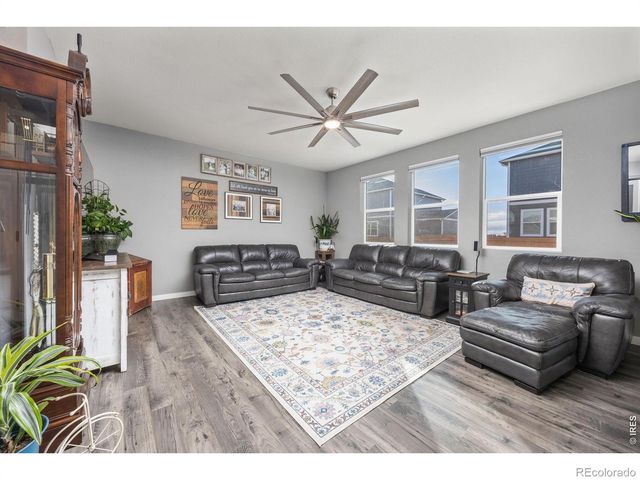 3725 Catmint Street, Wellington, CO 80549