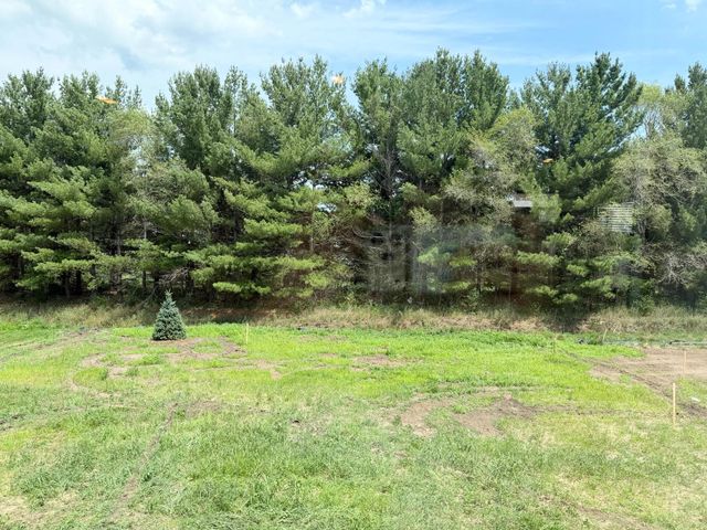 10891 Henslowe Avenue S, Cottage Grove, MN 55016