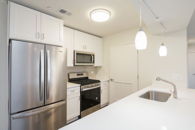 1212 Vine Place 2A, Park Ridge, IL 60068