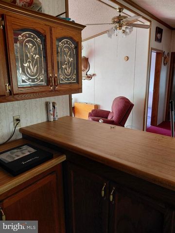 131 LITTLE HICKORY RD, Petersburg, WV 26847