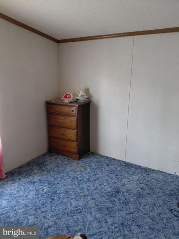 131 LITTLE HICKORY RD, Petersburg, WV 26847