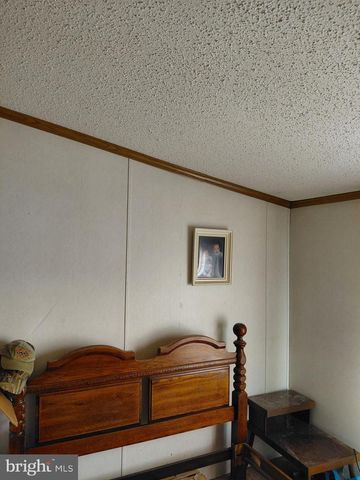 131 LITTLE HICKORY RD, Petersburg, WV 26847