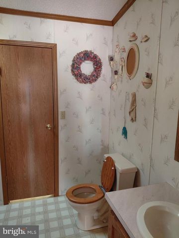 131 LITTLE HICKORY RD, Petersburg, WV 26847