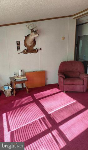 131 LITTLE HICKORY RD, Petersburg, WV 26847