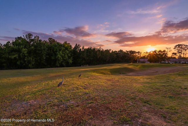 11718 Wheatfield Loop, Hudson, FL 34667