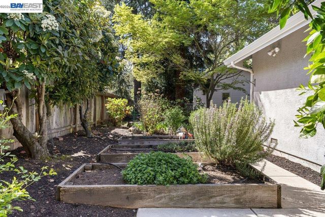 1397 Pine Tree Dr, Alamo, CA 94507