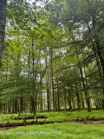 766 County Route 6, High Falls, NY 12440