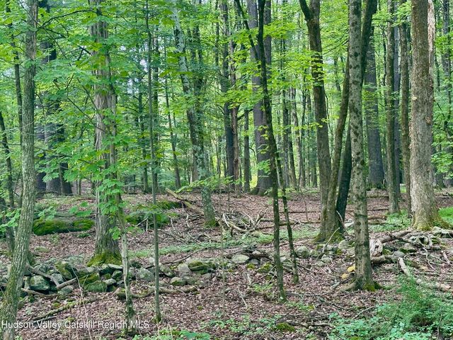 766 County Route 6, High Falls, NY 12440