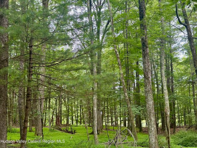 766 County Route 6, High Falls, NY 12440