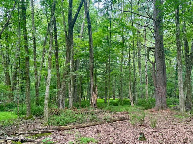 766 County Route 6, High Falls, NY 12440