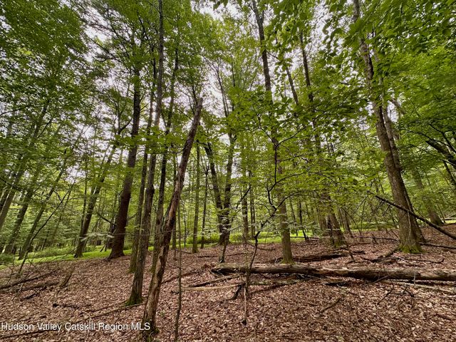 766 County Route 6, High Falls, NY 12440