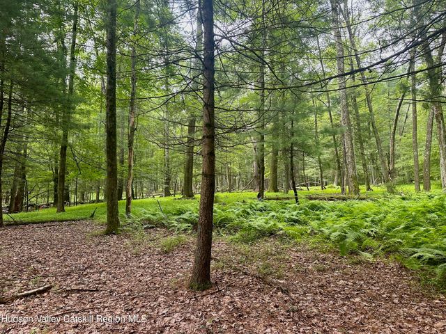 766 County Route 6, High Falls, NY 12440