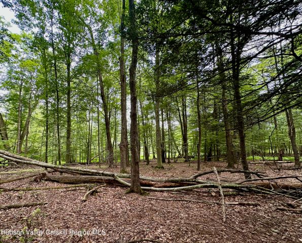 766 County Route 6, High Falls, NY 12440