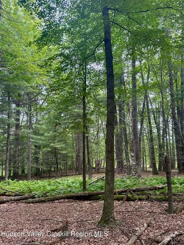 766 County Route 6, High Falls, NY 12440