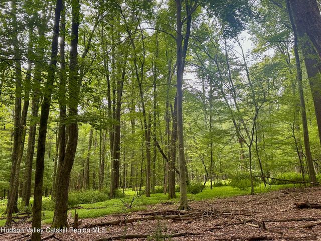 766 County Route 6, High Falls, NY 12440