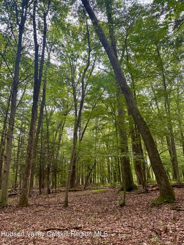 766 County Route 6, High Falls, NY 12440