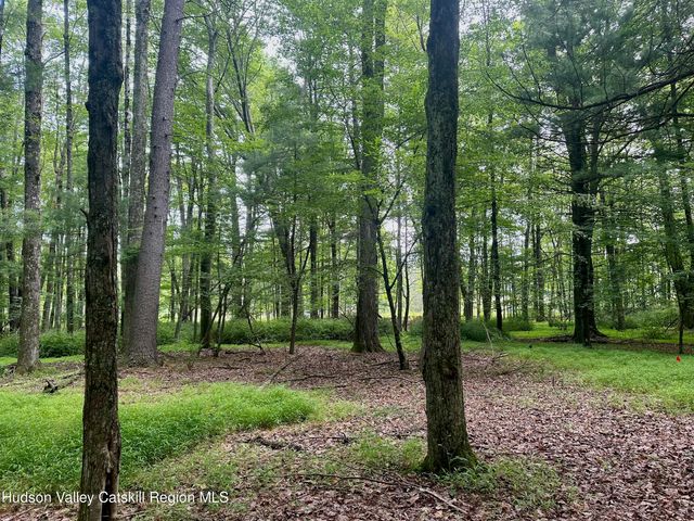 766 County Route 6, High Falls, NY 12440