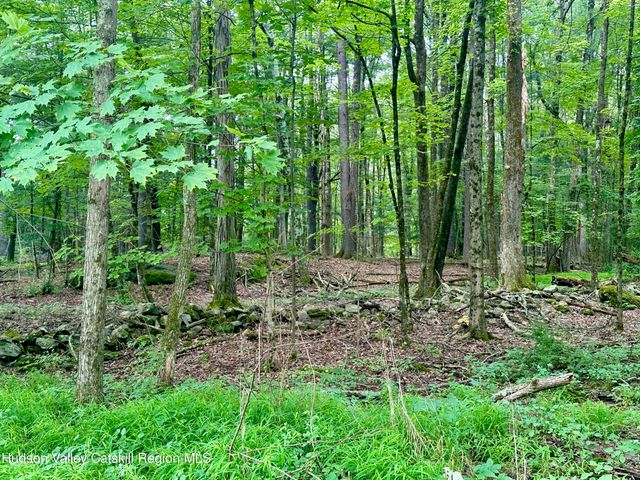 766 County Route 6, High Falls, NY 12440