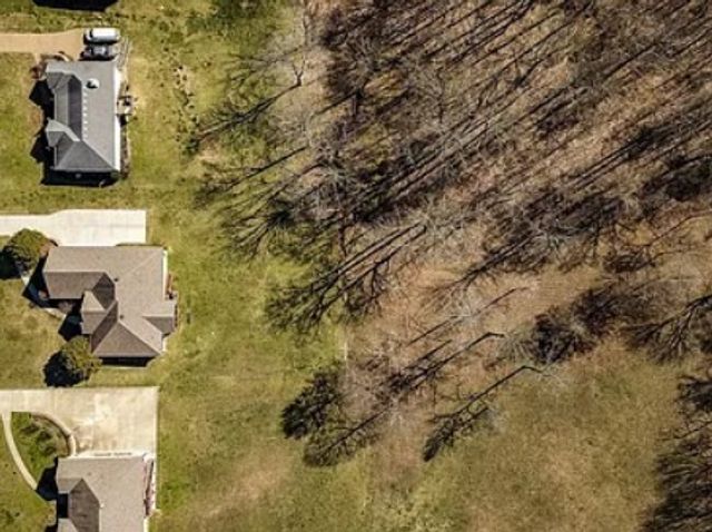 1024 Sweet Oak Rdg, Hendersonville, TN 37075