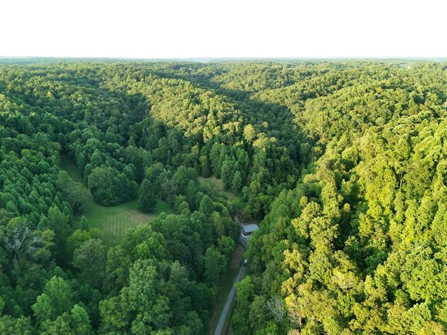778 Jones Hollow Road, Woodbury, TN 37190