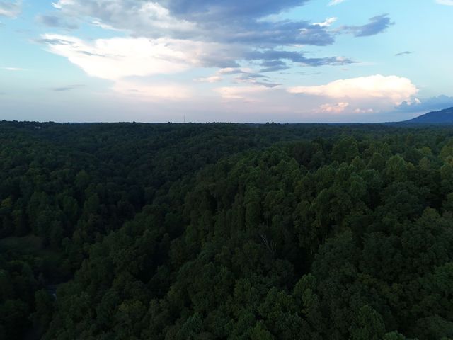 778 Jones Hollow Road, Woodbury, TN 37190