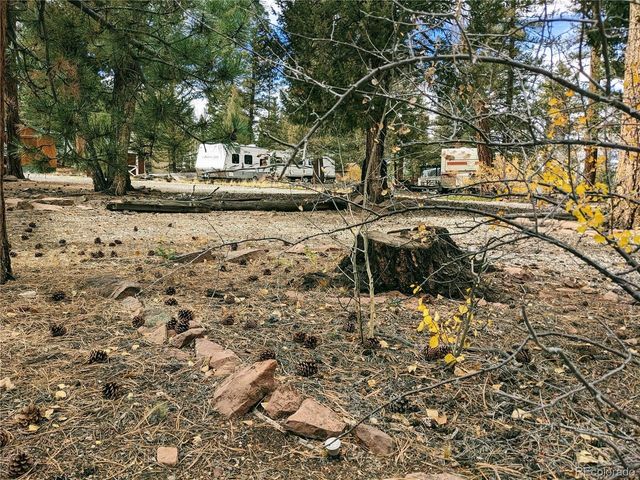 51 Tie Way, Hartsel, CO 80449