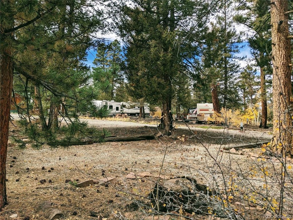 51 Tie Way, Hartsel, CO 80449