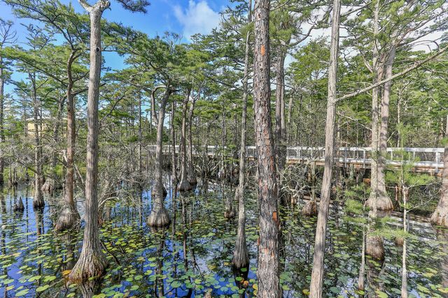 74 Cypress Drive, Santa Rosa Beach, FL 32459