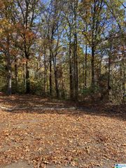 1705 STAGECOACH CIRCLE, Birmingham, AL 35215