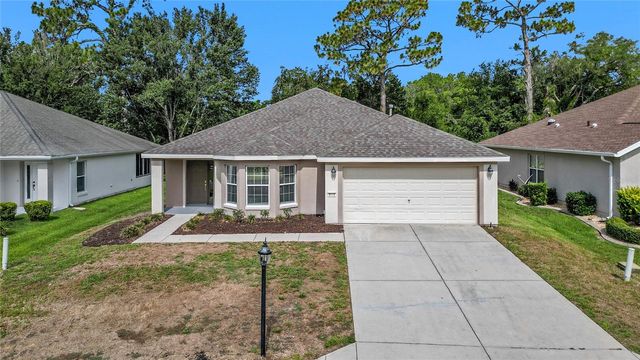 9119 SE 120TH LOOP, Summerfield, FL 34491