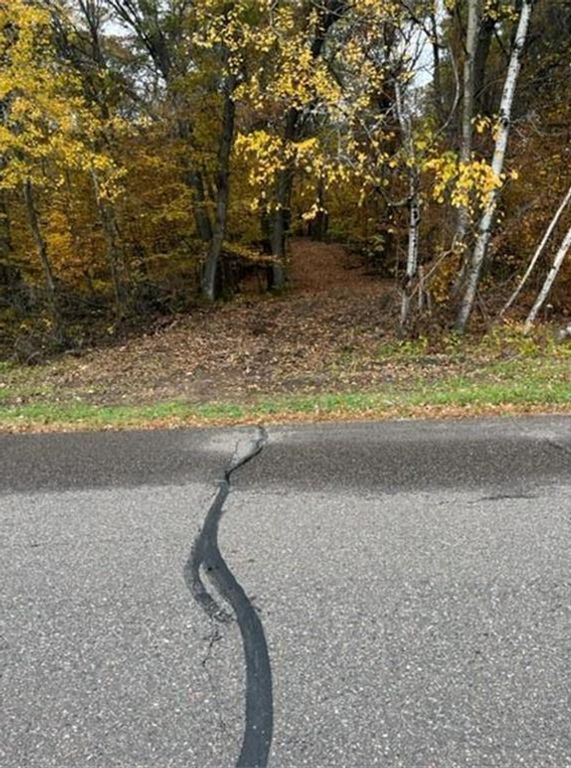 Lot 4 Tiger Street NW, Princeton, MN 55371 — photo 2