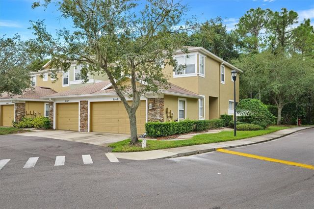 8169 STONE LEAF LANE, Tampa, FL 33647