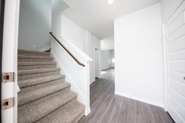 16909 Hazelnut Drive, Conroe, TX 77302